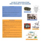 Ères Primaire et Secondaire