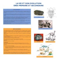 Ères Primaire et Secondaire