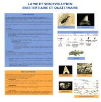 Ères Tertiaire et Quaternaire