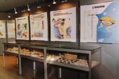 Vitrines et panneaux