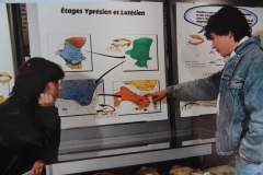 Vitrines et panneaux