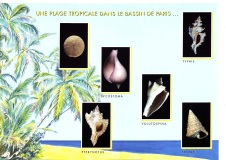 expo-palais-de-la-decouverte-1995-2
