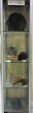 Vitrine bois fossile - pièces Michel