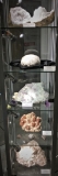 Vitrine minéraux - Pièces Michel