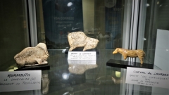 Vitrine Préhistoire - moulages - Pièces Michel