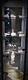 Vitrine Préhistoire - moulages - Pièces Michel