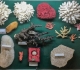 Corail - Pièces de Michel