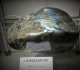 Labradorite de Madagascar- Pièce de Michel