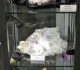 Vitrine minéraux - Pièces Michel
