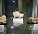 Vitrine Préhistoire - moulages - Pièces Michel