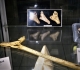 Vitrine Préhistoire - moulages - Pièces Michel
