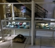 Vitrines Corail et Brachiopodes