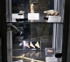 Vitrine Préhistoire - moulages - Pièces Michel