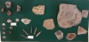 modvitrineammonite