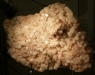 Photo MN : Apophyllite-ChabasiteHeulandite-Poonah- Indes