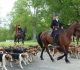 11équipage chasse à courre