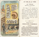 Carbonifère