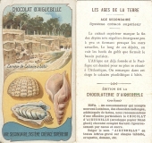 Crétacé sup.