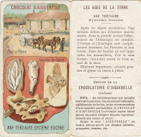 Eocène