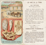 Eocène