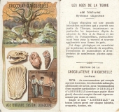 Oligocène