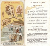 Pliocène
