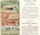Préhistoire