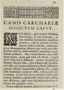 \"Canis carchariae dissectum caput\" - Nicoals Stenon, 1667