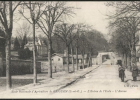 Grignon - L'avenue qui mène à l'école; le pigeonnier à gauche - 1919