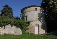 Photo Jean Michel Pournin