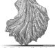 Ostrea-cristagalli-Huitre-crete-de-coq-LINNAEUS-1758