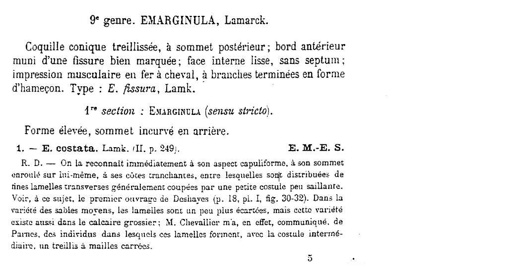 Emarginula - Copie (1024x549)