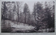 La falunière