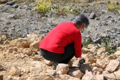 Nadine! Cherches, cherches....- Photo Aude