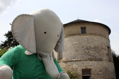 Mais que vient faire Babar dans le pigeonnier ? C'est pas sérieux, Jean Michel! - Photo JMP