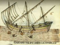 Canot pour la pèche aux perles prés de l'ile Margarita (Venezuela) - Drake manuscript (v. 1595)