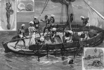 Une pêche de perles à Ceylan - gravure de Joseph Nash (19è s.)