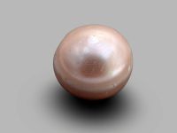 Perle d'Abou Dabi - La plus vieille perle du monde - 8000 ans BP - période néolithique