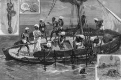 Une pêche de perles à Ceylan - gravure de Joseph Nash (19è s.)