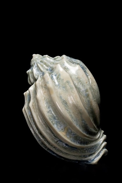 Harpidae, Céramique de Sèvres - Musée national de la céramique - Photo Paul Starosta - www.paulstarosta.com