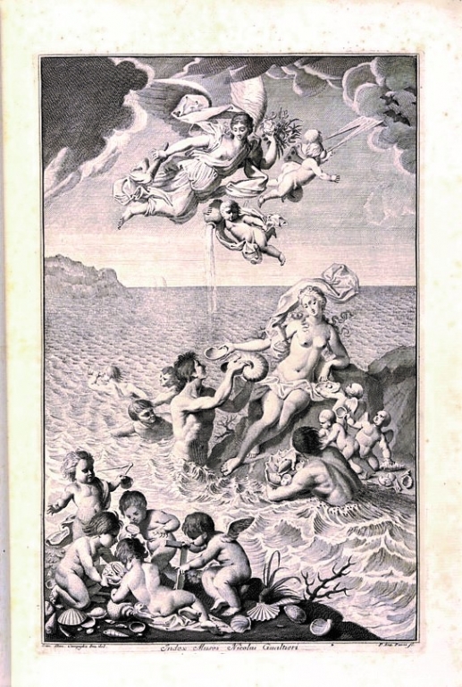 Frontispice Index testarum conchyliorum - Niccoló Gualtieri 1742 -  Bibliothèque royale de Belgique