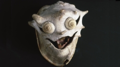 Cassis cornuta - Masque - Pascal Désir Maisonneuve (XXème) - Photo Claude Bornand