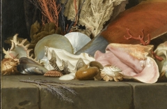 Panache de mer, coquillages et lithophytes, détails (pondyle, murex, bénitier coquillage, pinne, nautile, strombe, turbo, moule, huître ; Anne Vallayer-Coster (1769) - © 2011 RMN-Grand Palais musée du Louvre René-Gabriel Ojéda