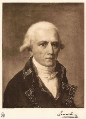 Portrait de Lamarck - héliogravure noir et blanc - Thevenin et Schutzenberger - Biblio MNHN