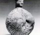 Aryballe - vase à parfum - Coquille St Jacques, bouchon Vénus-Corinthe 2500 BP -Genève MAH- Cité par Claude Lapaire