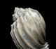 Harpidae, Céramique de Sèvres - Musée national de la céramique - Photo Paul Starosta - www.paulstarosta.com