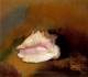 La coquille - Odilon Redon 1912 - Musée d'Orsay