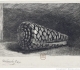 "La coquille" - cône marbré - Rembrandt (1650) - Musée du Louvre. A noter : la coquille, de la main de Rembrandt, est inversée - spire de la droite vers la gauche et ouverture à gauche !