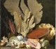Panache de mer, coquillages et lithophytes ; Anne Vallayer-Coster (1769) - Tableau faisant parti du cabinet de curiosités de Louis-François de Bourbon, prince de Conti (1717-1776) - © 2011 RMN-Grand Palais musée du Louvre René-Gabriel Ojéda