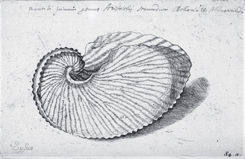 Lister Martin "De Cochleis tam terrestribus" (1685)  Signature de Suzanna Lister - Crédit The Bodleian Library University of Oxford.